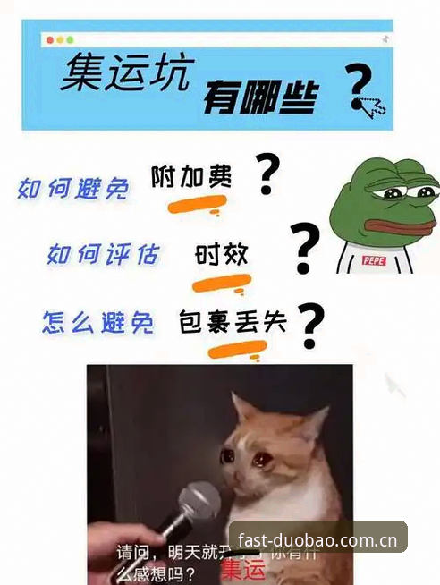 多宝登录失败功能详解与解决指南——老用户教你避开坑
